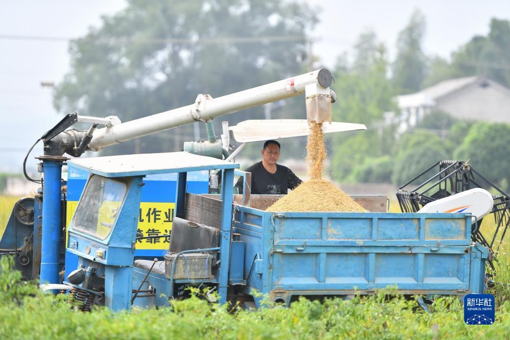 鸿运国际欢迎您